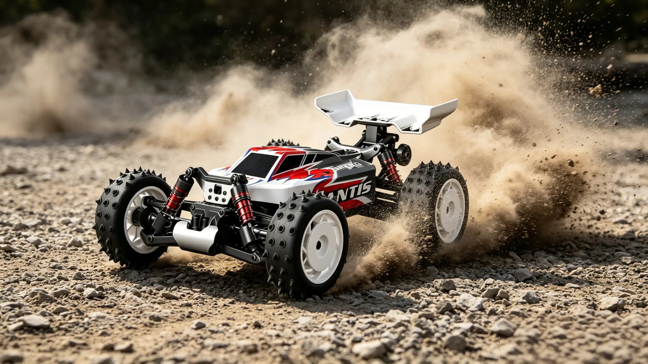 Brushed & Brushless Two Power Options: How to Choose Your Perfect 1/16 Off-Road Speed ZD-pro RC