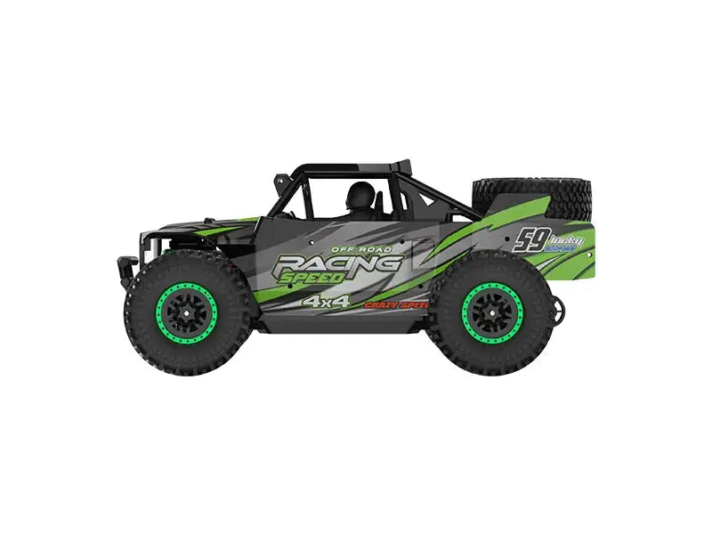 1:18 4WD RC Off-Road Buggy Waterproof LED Light High Speed RC Truck ZD-pro RC