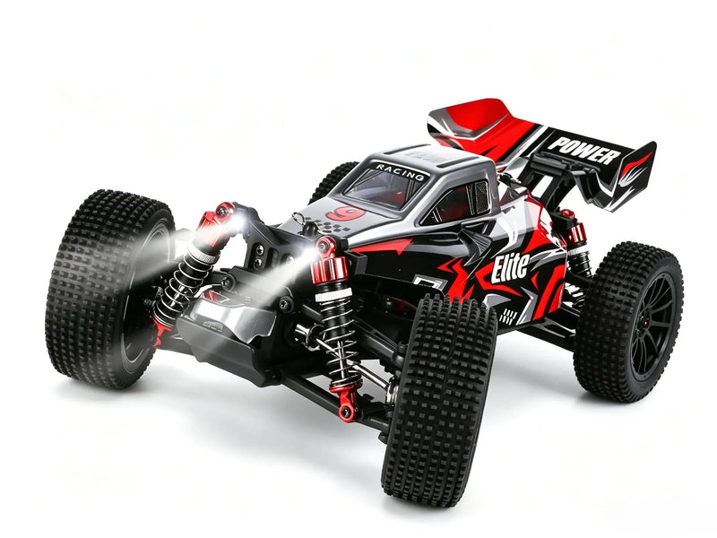 1:16 4WD Brushless control car racing off-road buggy ZD-pro RC