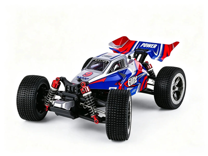 1:16 4WD Brushless control car racing off-road buggy ZD-pro RC