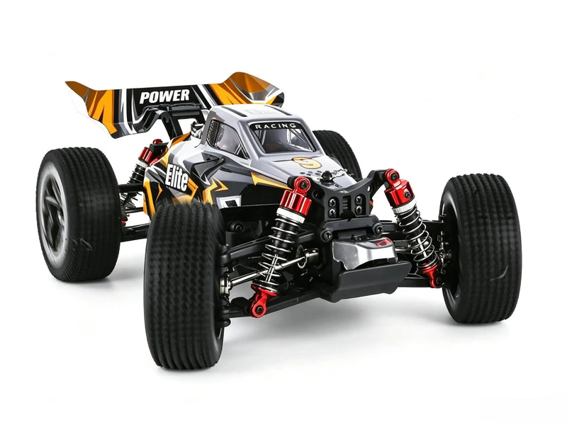 1:16 4WD Brushless control car racing off-road buggy ZD-pro RC