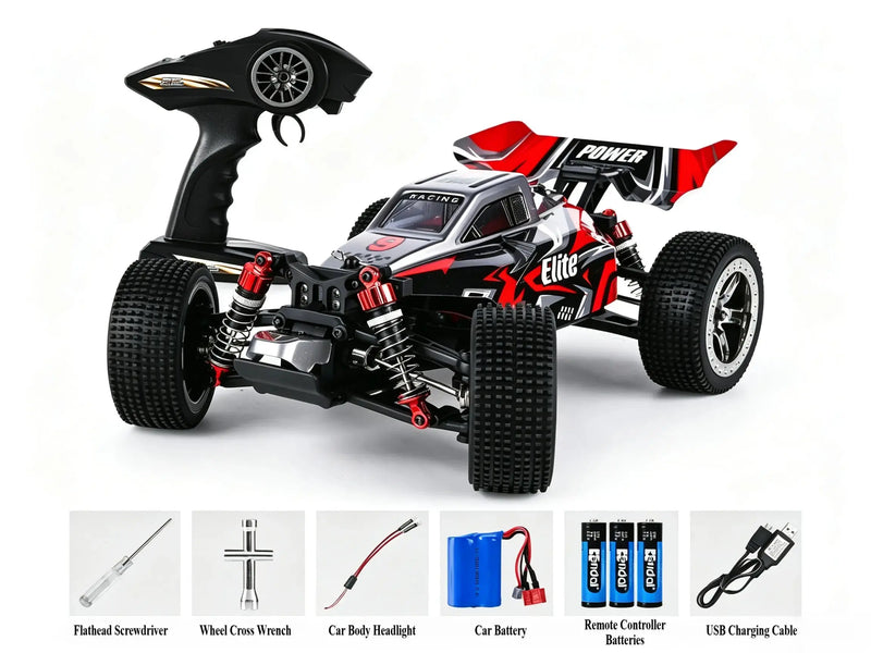 1:16 4WD Brushless control car racing off-road buggy ZD-pro RC