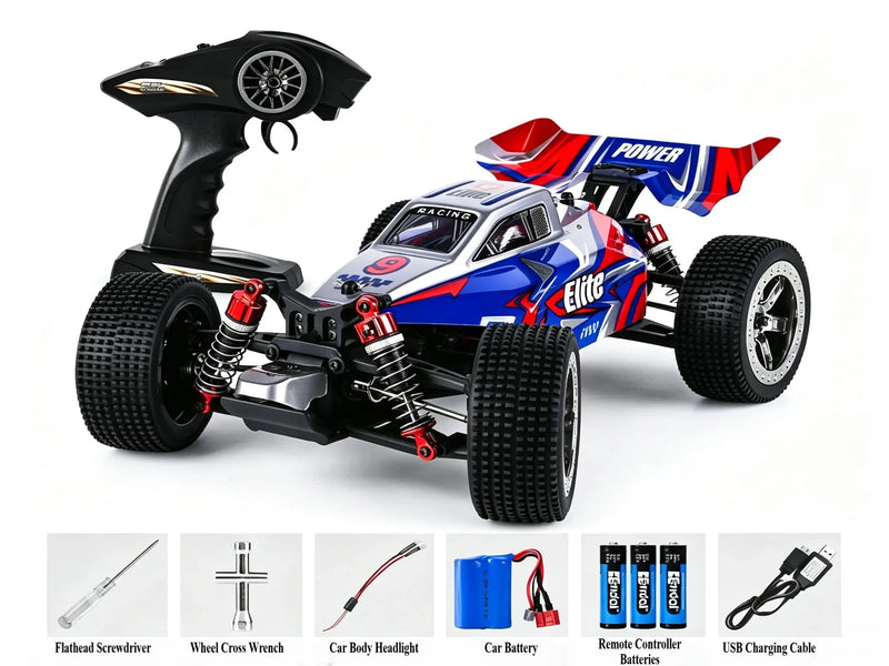 1:16 4WD Brushless control car racing off-road buggy ZD-pro RC