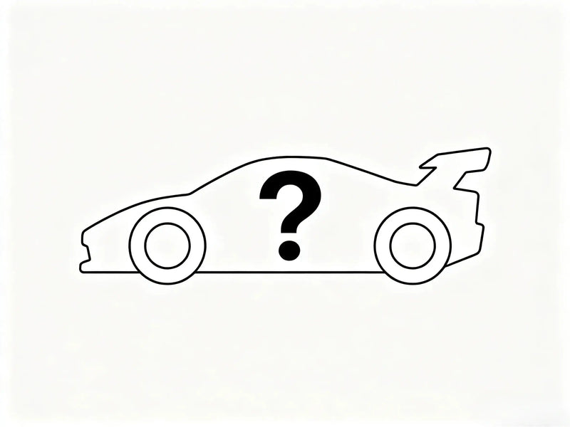 Mystery RC Car Blind Box, Random Surprise Unboxing Remote Control Car ZD-pro RC