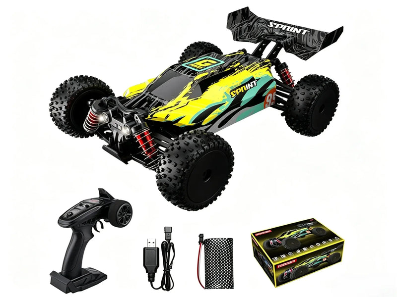 4WD RC Off-Road Buggy Brushed & Brushless Versions ZD-pro RC