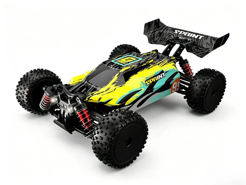 4WD RC Off-Road Buggy Brushed & Brushless Versions ZD-pro RC