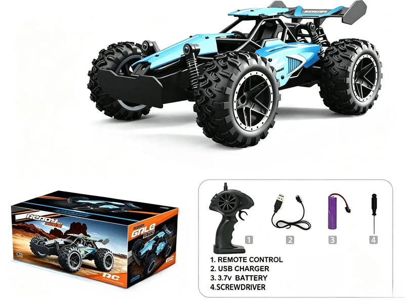 RC Off Road Car with 2.4G Remote & Independent Shocks ZD-pro RC