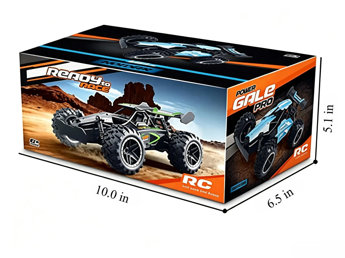 RC Off Road Car with 2.4G Remote & Independent Shocks ZD-pro RC