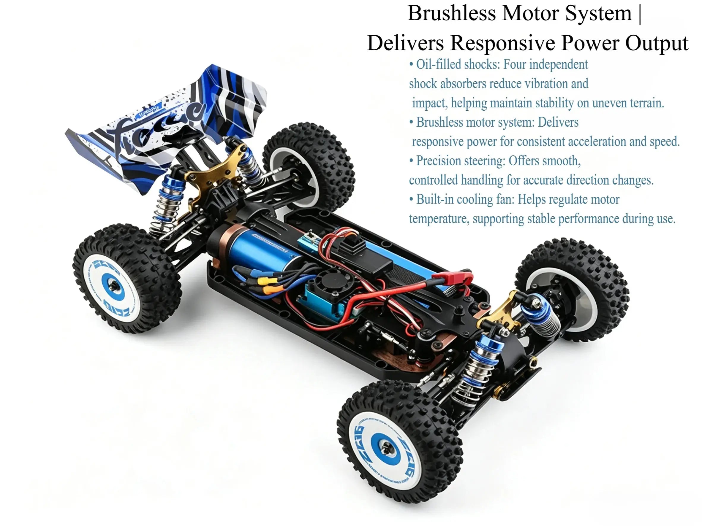 1/12 Brushless RC Racing Car ZD-pro RC