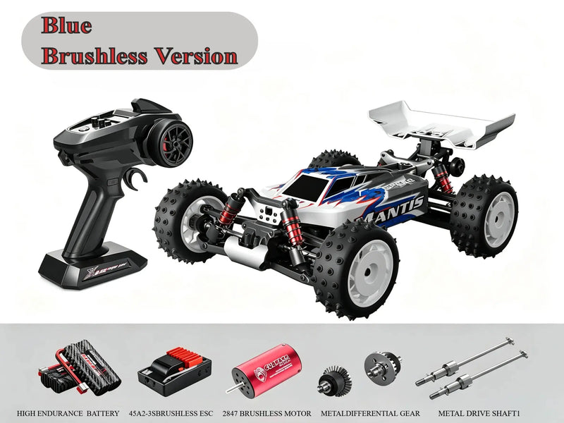 1/16 4WD control car racing Off-Road Buggy | Brushed & Brushless Two Power Options ZD-pro RC