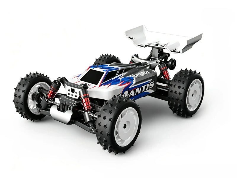 1/16 4WD control car racing Off-Road Buggy | Brushed & Brushless Two Power Options ZD-pro RC