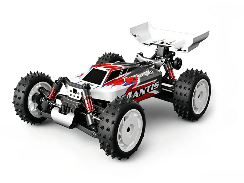 1/16 4WD control car racing Off-Road Buggy | Brushed & Brushless Two Power Options ZD-pro RC