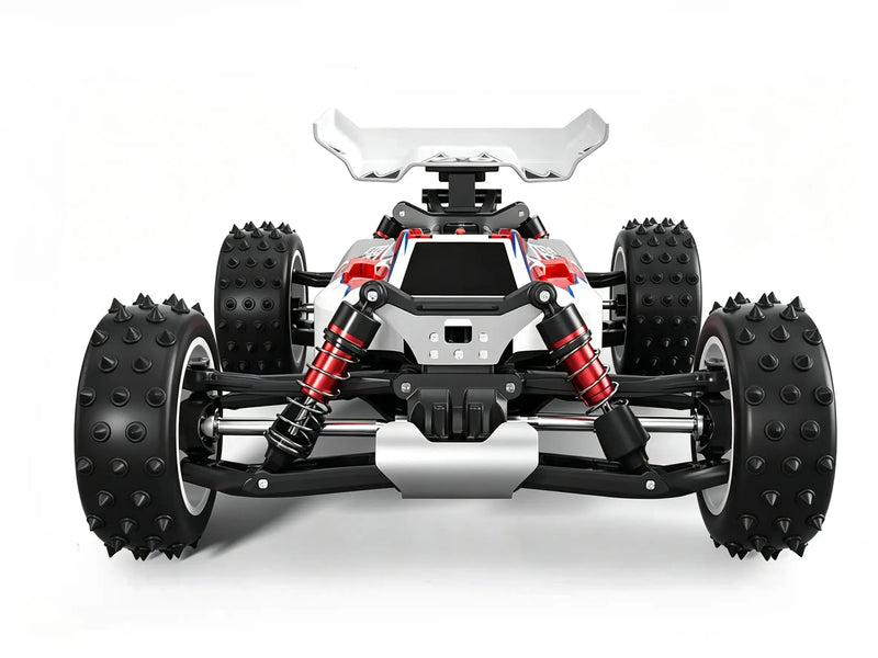 1/16 4WD control car racing Off-Road Buggy | Brushed & Brushless Two Power Options ZD-pro RC