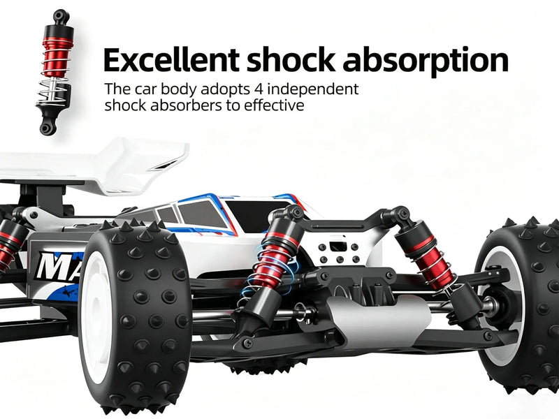 1/16 4WD control car racing Off-Road Buggy | Brushed & Brushless Two Power Options ZD-pro RC