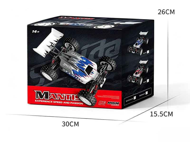 1/16 4WD control car racing Off-Road Buggy | Brushed & Brushless Two Power Options ZD-pro RC