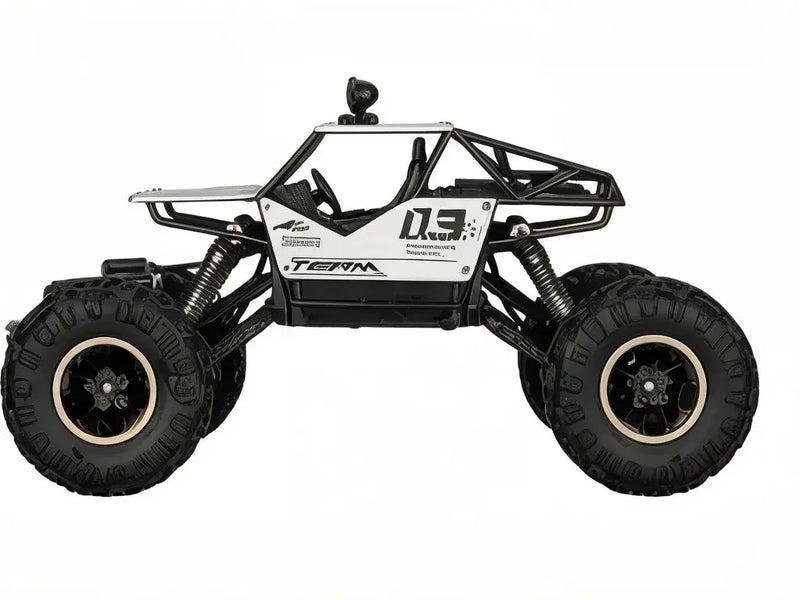 1:16 Alloy RC Crawler 4WD Off-Road Rock Climbing Truck ZD-pro RC